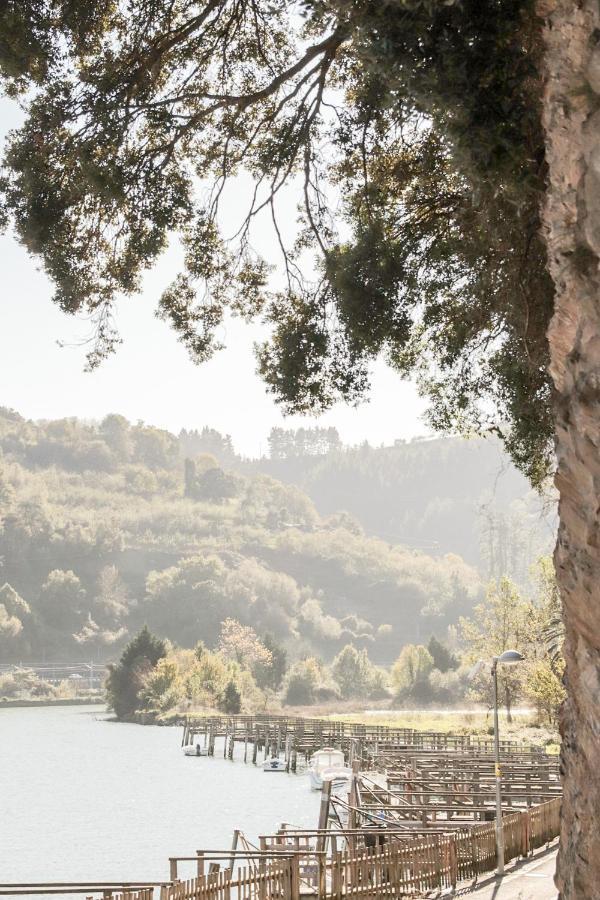 Arriola Txiki Konuk evi Itziar Dış mekan fotoğraf